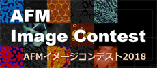 AFMイメージコンテスト
