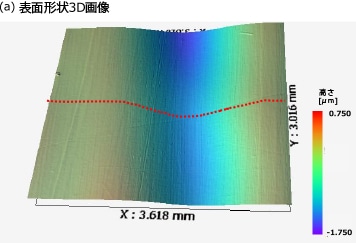 (a)表面形状3D画像