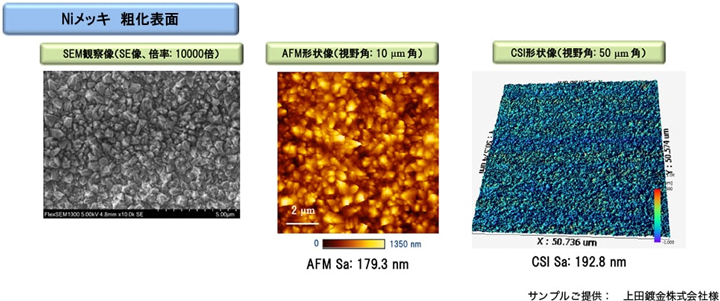Niメッキ 粗化表面