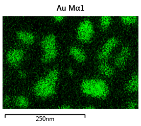 ZONESEMⅡで処理をせず観察