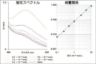 高感度測定例（フルオレセイン）