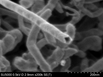 マルチウォールカーボンナノチューブの表面微細構造