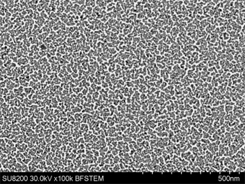 カーボンフィルム上の金蒸着粒子 ZONESEMⅡで処理後に観察