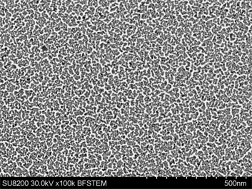 カーボンフィルム上の金蒸着粒子 ZONESEMⅡで処理後に観察