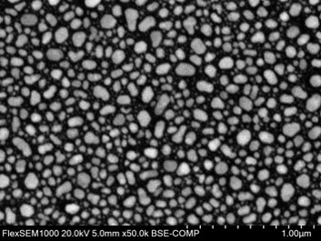 Backscattered Electron (BSE) Image