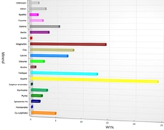 Mineral Composition