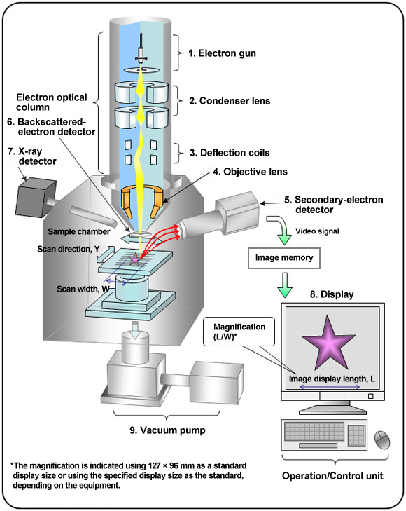 The function of each component is described below.