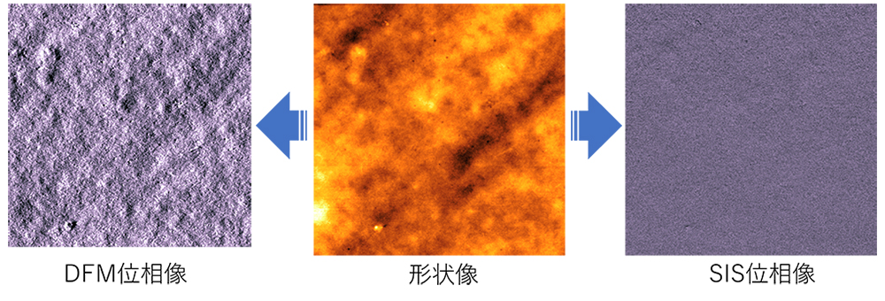 DFM位相像・形状像・SIS位相像