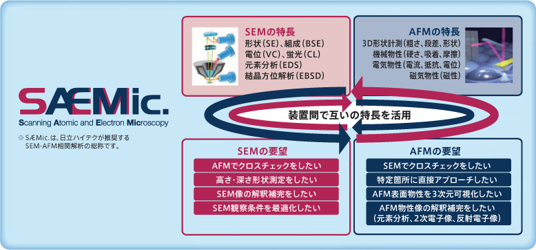 AFM/SEMの特長を生かした相関解析（故障解析の不具合解明率の向上）