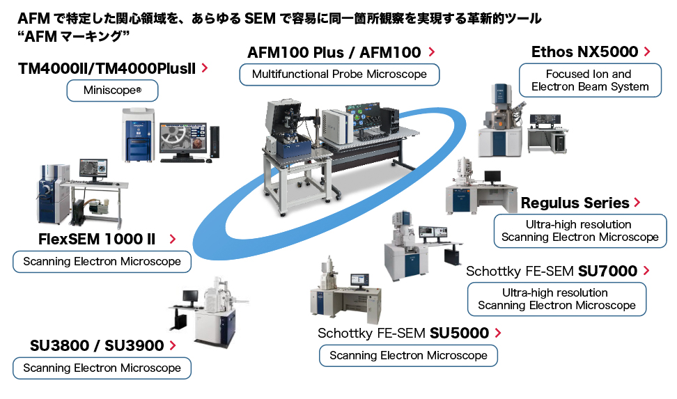 AFMで特定した関心領域を、あらゆるSEMで容易に同一箇所観察を実現する革新的ツール“AFMマーキング”