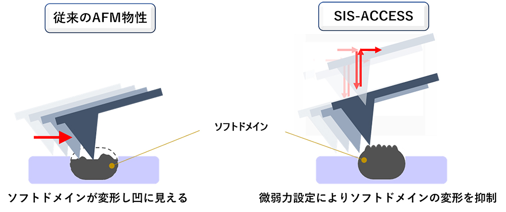 極めて柔らかい ソフトドメインの観察事例