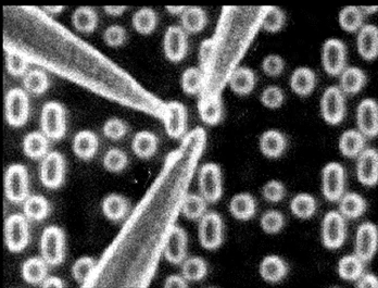 5 nmデバイスへのプロービング時のリアルタイムSEM像（加速電圧0.2 kV）